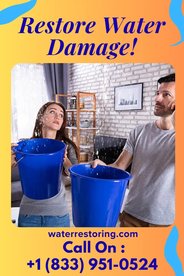 water restoration Priority Water Mitigation Masters La Russell