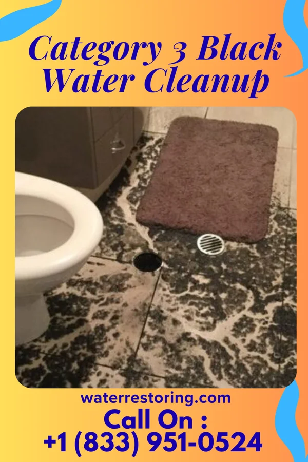 Category 3 Black Water Cleanup in La Russell, MO