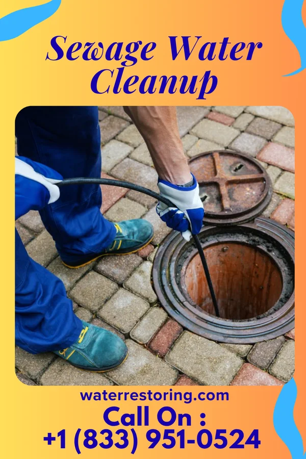Sewage Water Cleanup in La Russell, MO